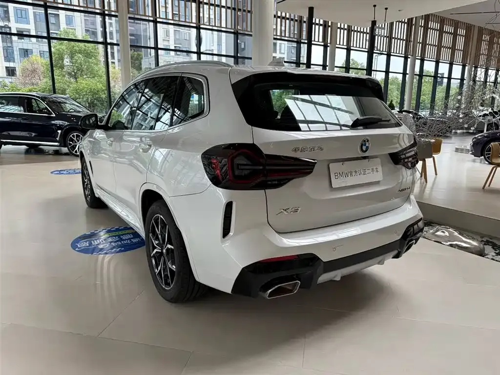 BMW X3 2024 из CN, фото 4