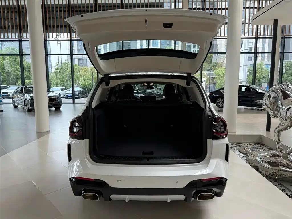 BMW X3 2024 из CN, фото 9