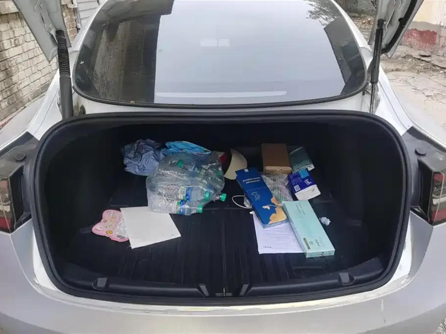 Tesla Model 3 2023 из CN, фото 4