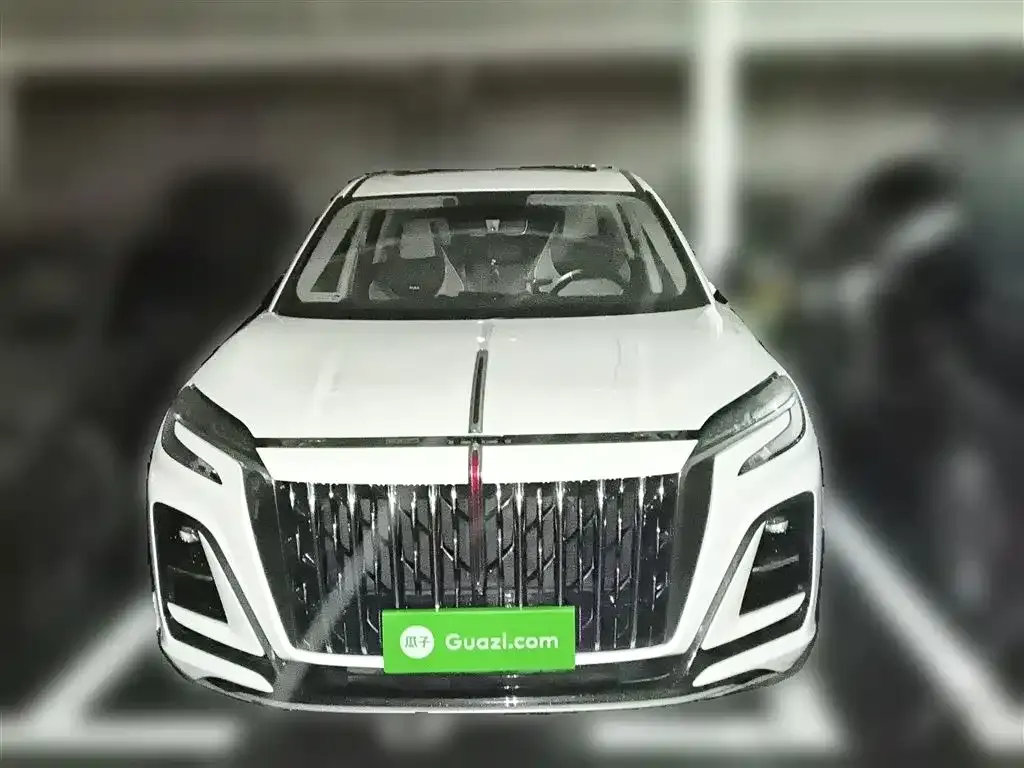 Hongqi HS3 2025 из CN, фото 3