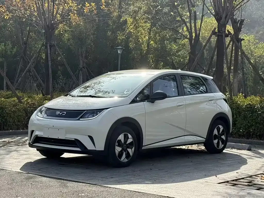 BYD Dolphin 2025 из CN, фото 1