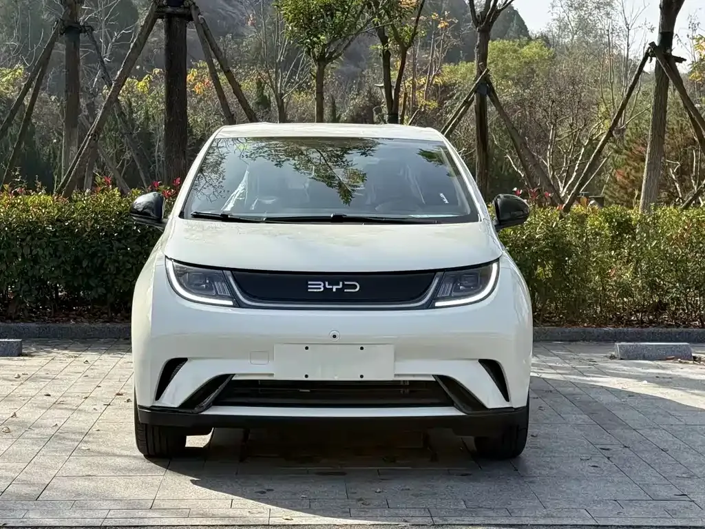 BYD Dolphin 2025 из CN, фото 2