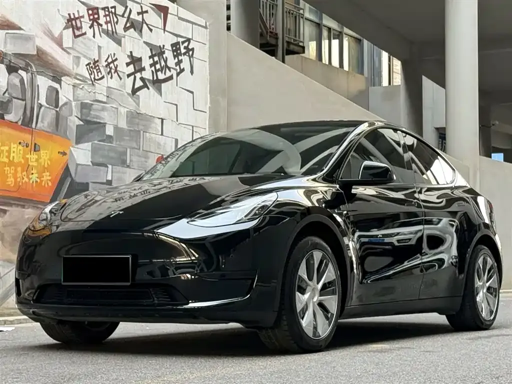 Tesla Model Y 2023 из CN, фото 1
