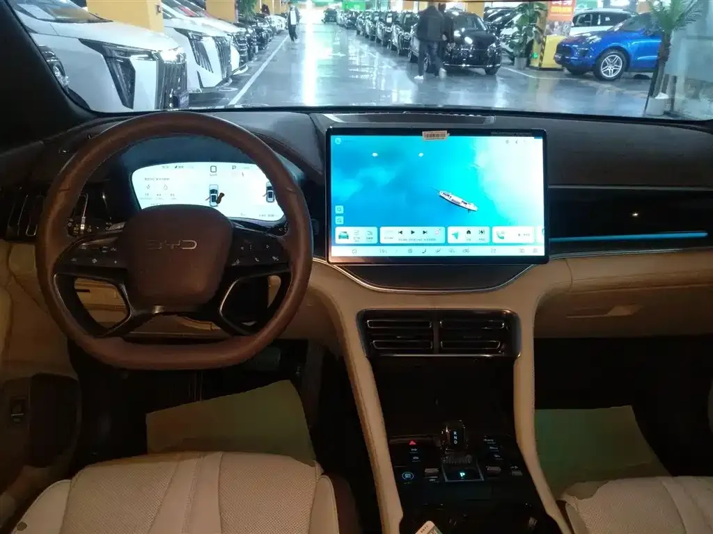 BYD PLUS New Energy — фото 10