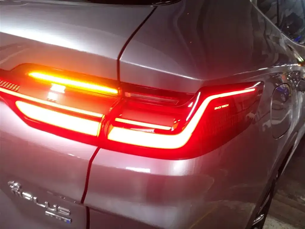 BYD PLUS New Energy — фото 8