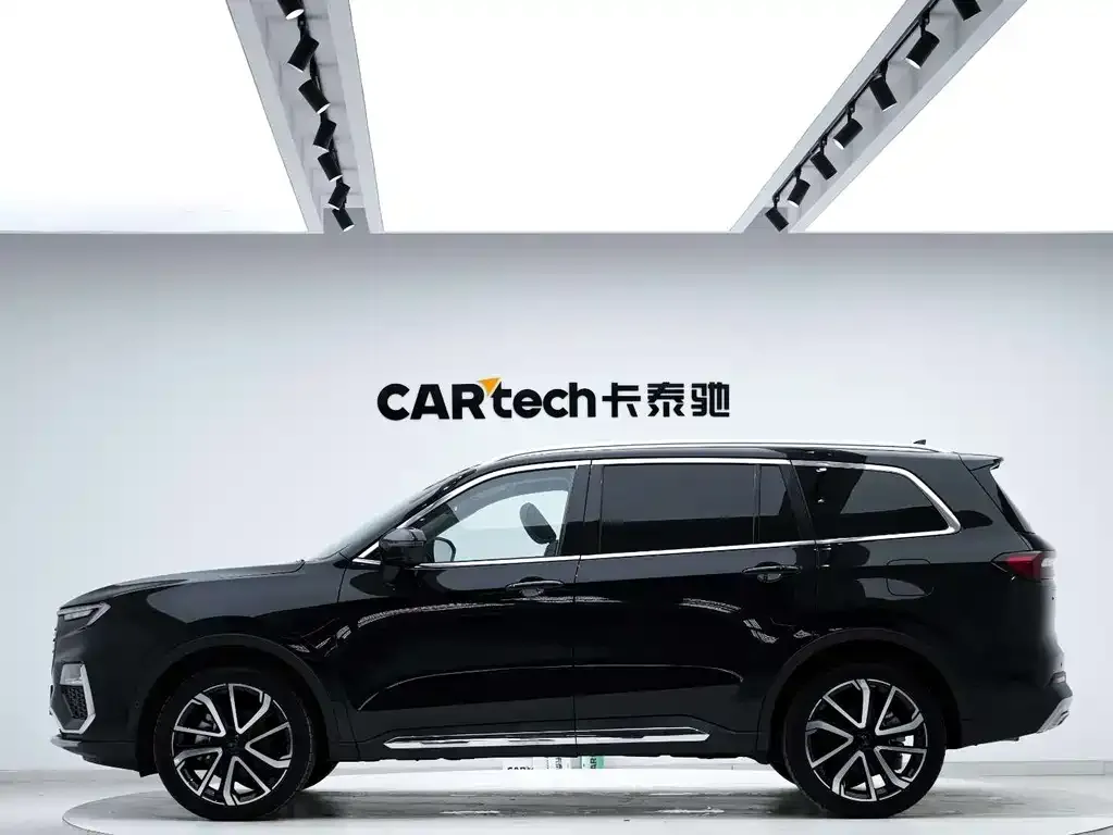 Ford Territory 2024 из CN, фото 2