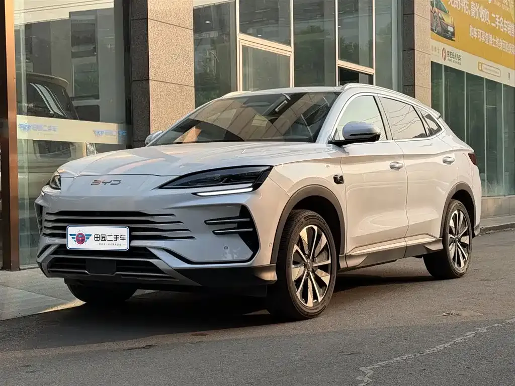 BYD PLUS New Energy 2025 из CN, фото 1