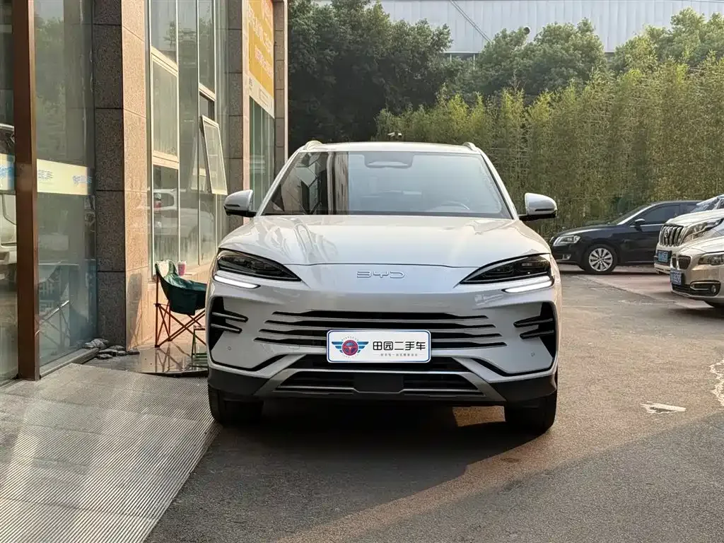BYD PLUS New Energy 2025 из CN, фото 2