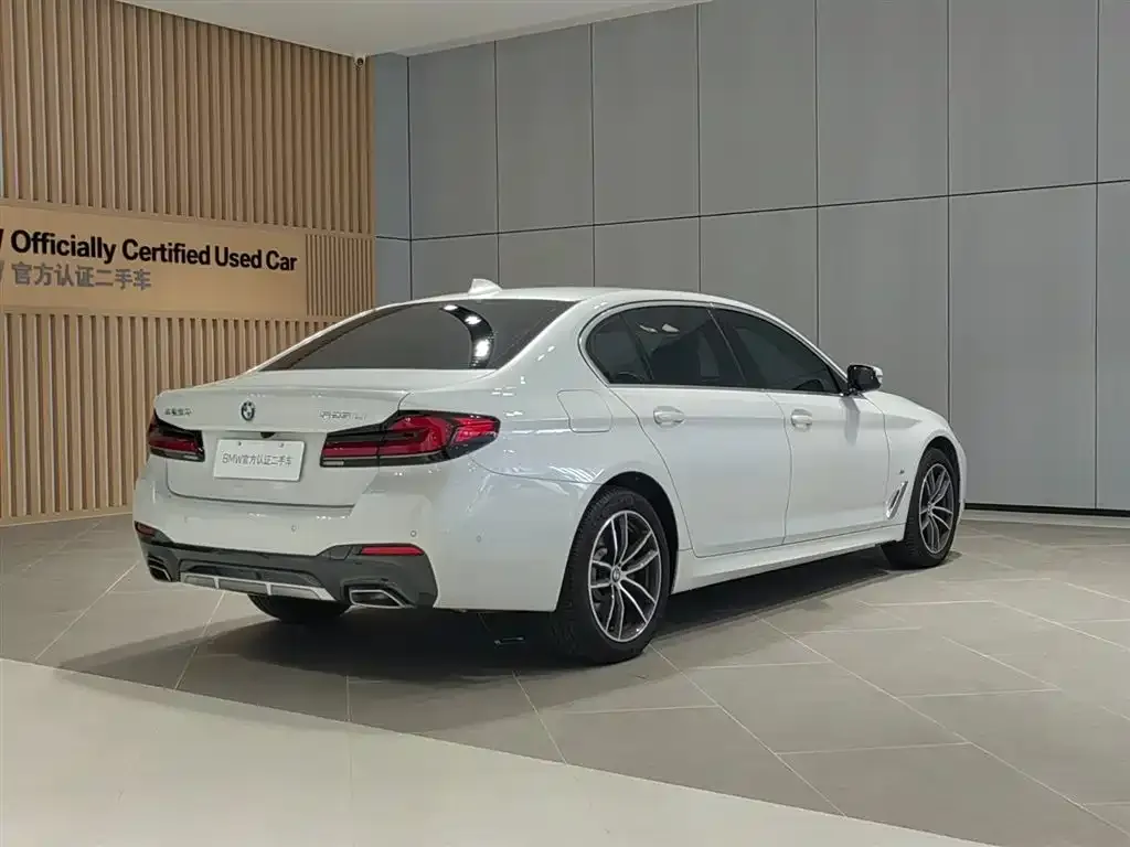 BMW 5 Series 2024 из CN, фото 6