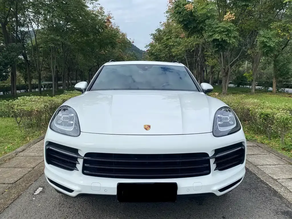 Porsche Cayenne 2021 из CN, фото 2