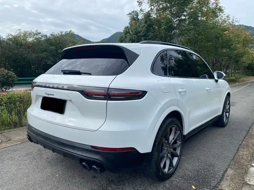 Porsche Cayenne 2021 из CN, фото 4