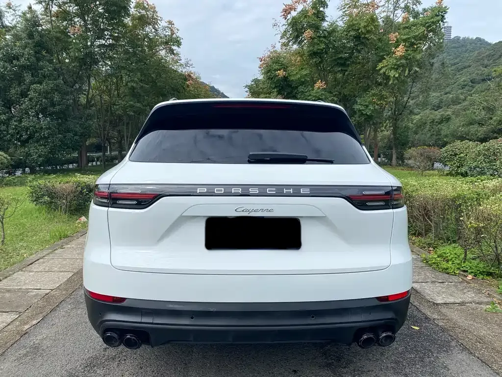 Porsche Cayenne 2021 из CN, фото 5