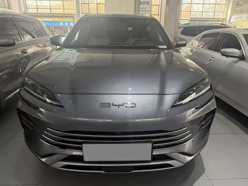 BYD PLUS New Energy 2023 из CN, фото 2