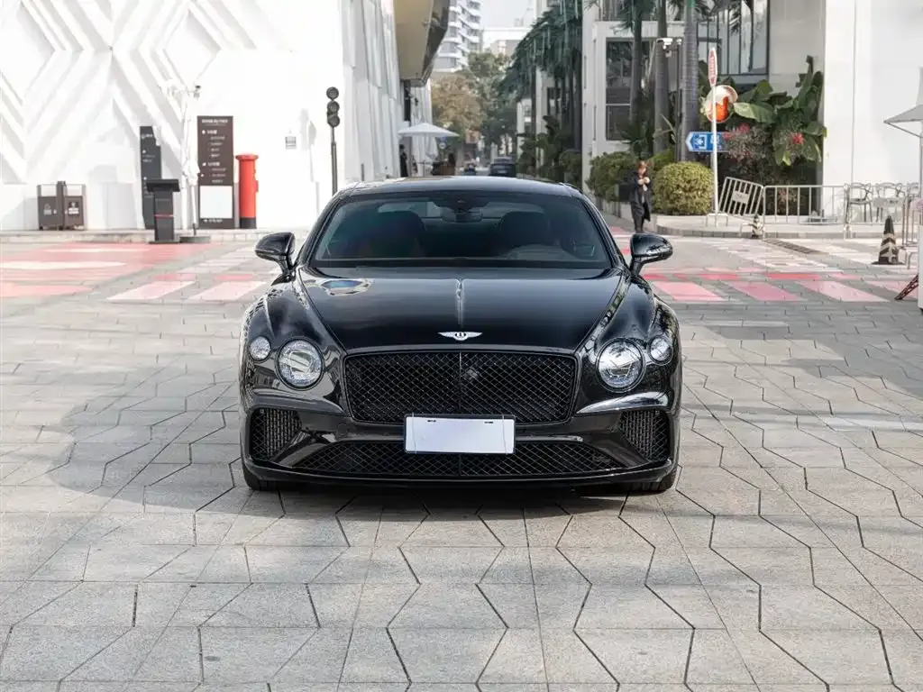 [object Object] Continental 2022 из CN, фото 2