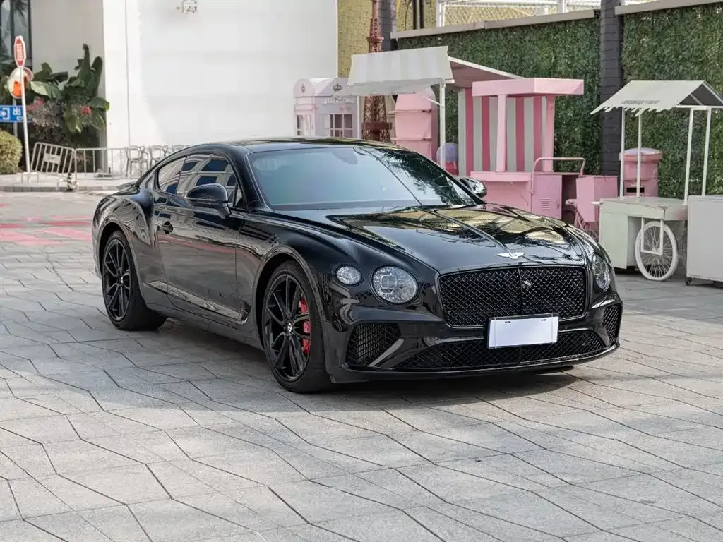 [object Object] Continental 2022 из CN, фото 3