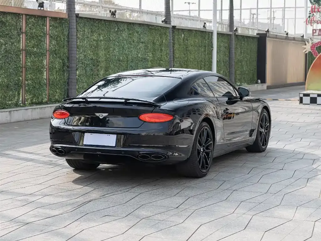 [object Object] Continental 2022 из CN, фото 4