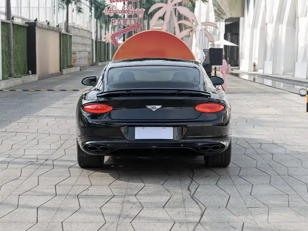 [object Object] Continental 2022 из CN, фото 5