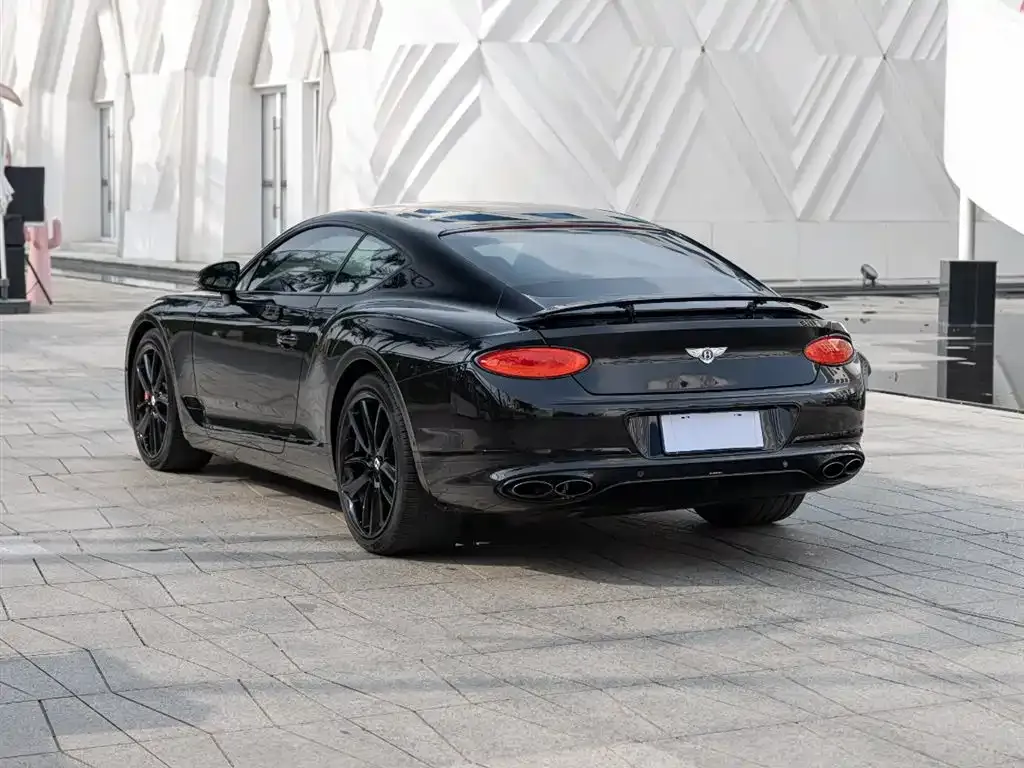 [object Object] Continental 2022 из CN, фото 6