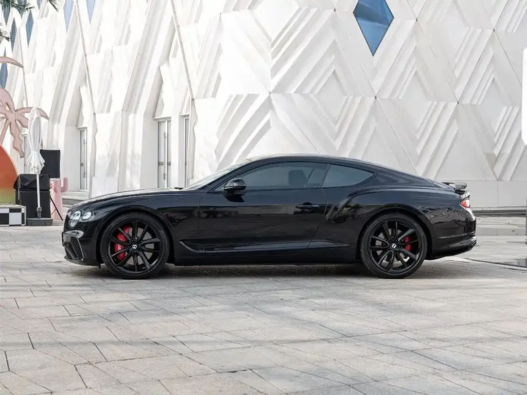 [object Object] Continental 2022 из CN, фото 7