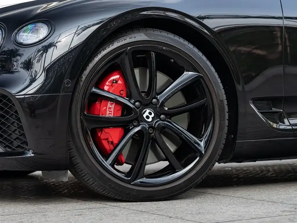 [object Object] Continental 2022 из CN, фото 8