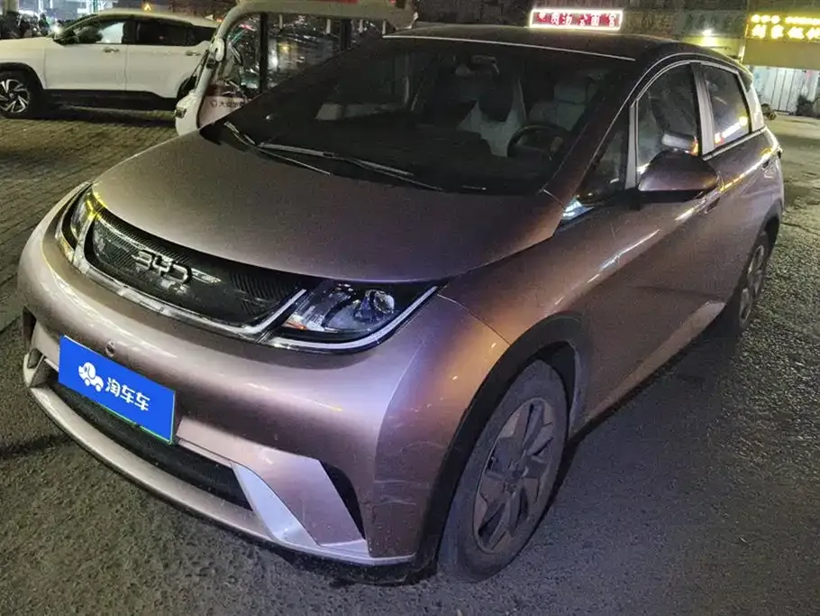 BYD Dolphin 2024 из CN, фото 1