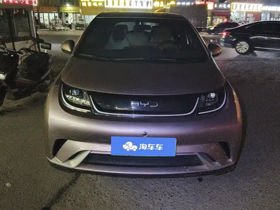 BYD Dolphin 2024 из CN, фото 2