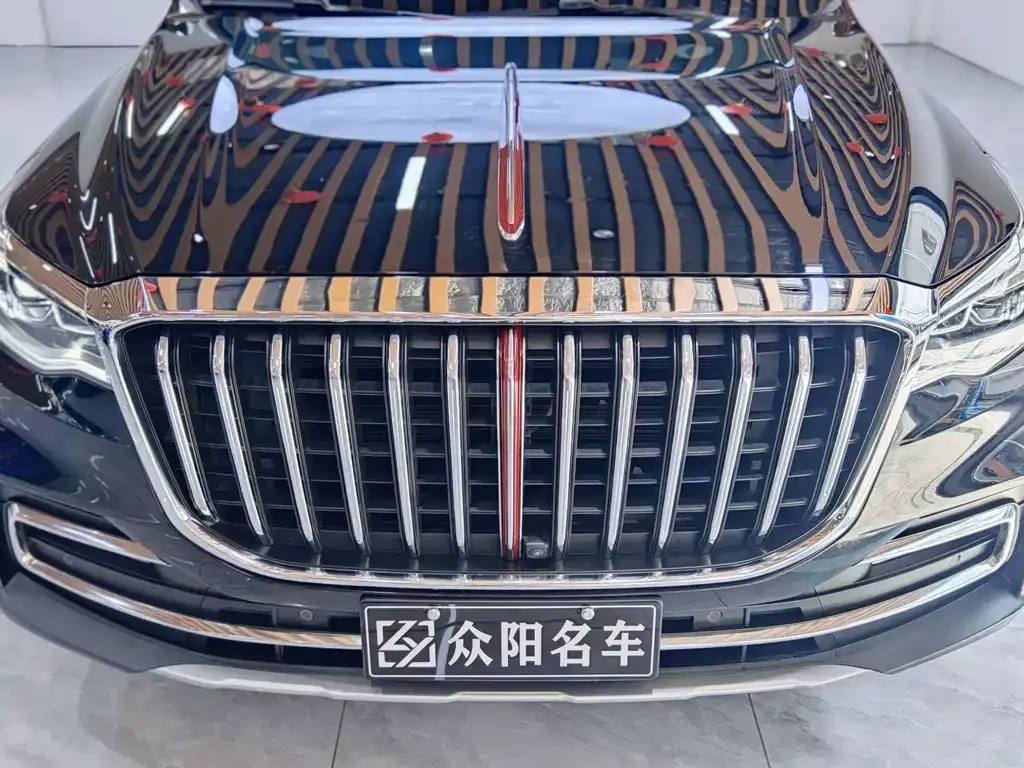 Hongqi HS7 2023 из CN, фото 5