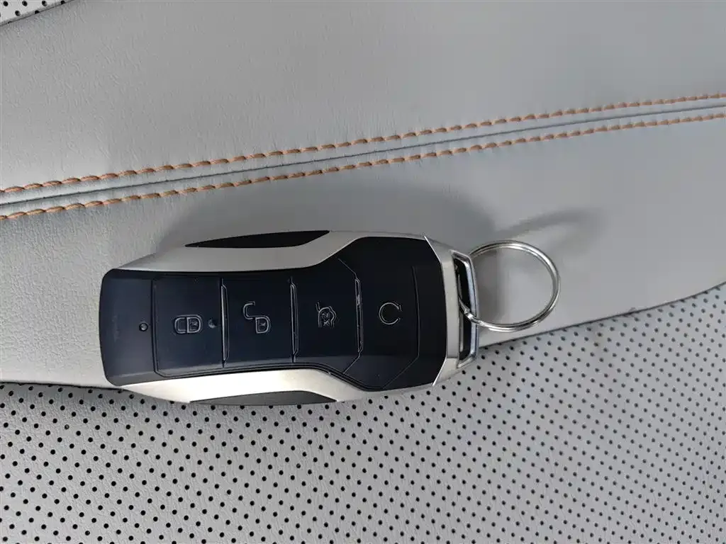 BYD PLUS New Energy 2023 из CN, фото 9
