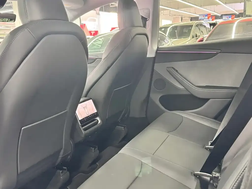 Tesla Model Y 2025 из CN, фото 10