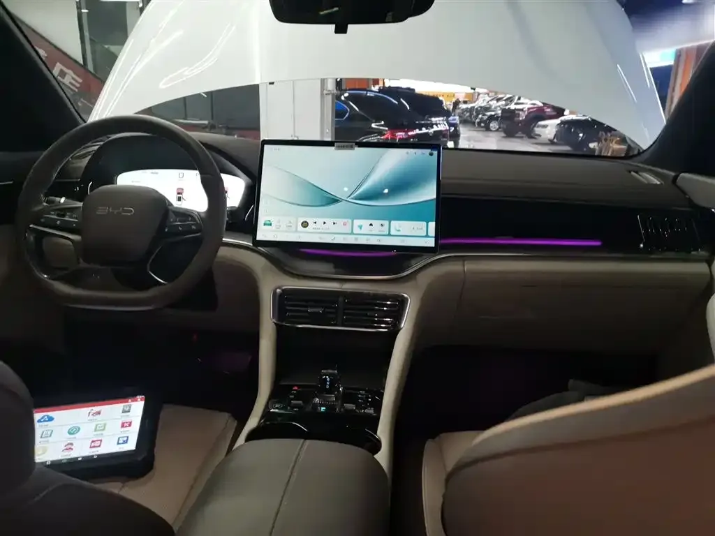 BYD PLUS New Energy 2025 из CN, фото 10