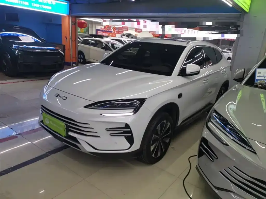 BYD PLUS New Energy 2025 из CN, фото 2