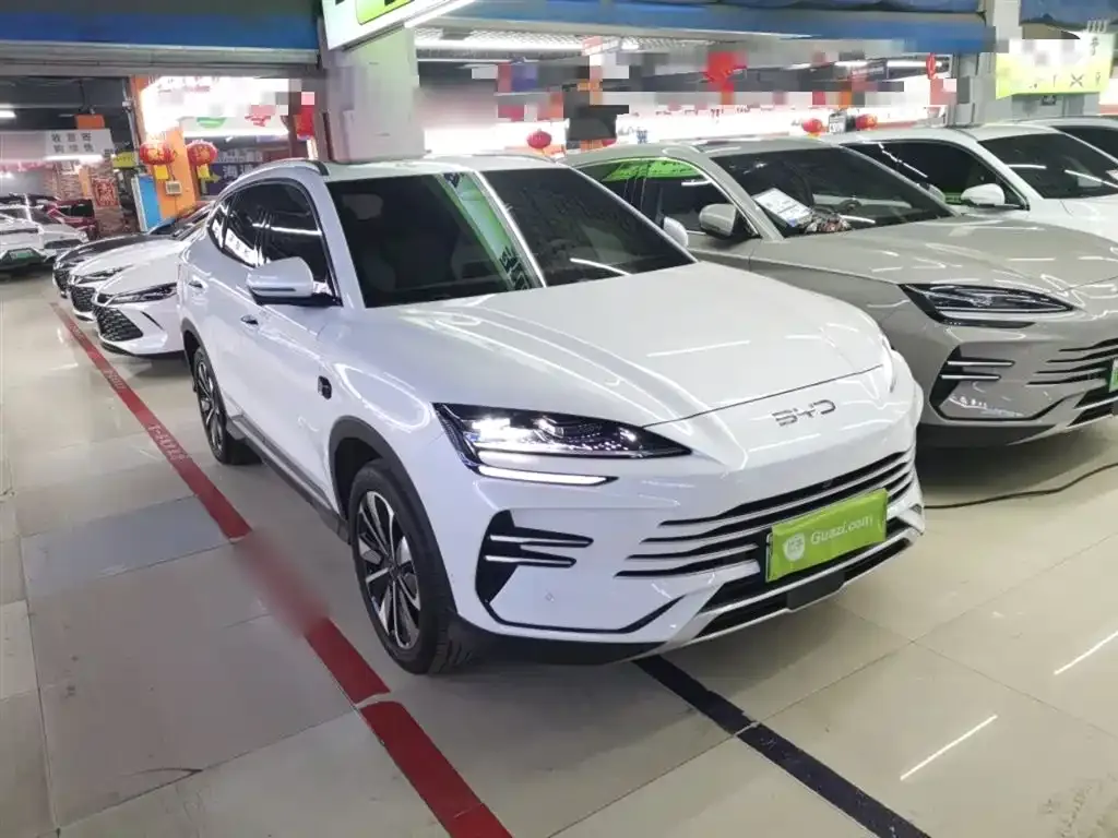 BYD PLUS New Energy 2025 из CN, фото 4