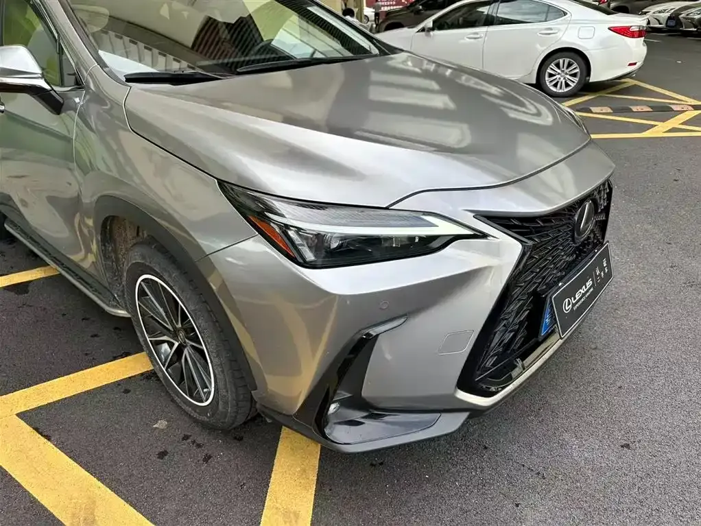 Lexus NX 2022 из CN, фото 3