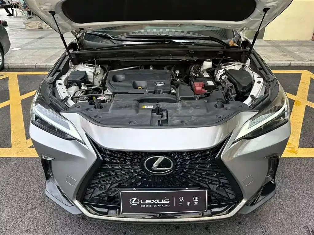 Lexus NX 2022 из CN, фото 4