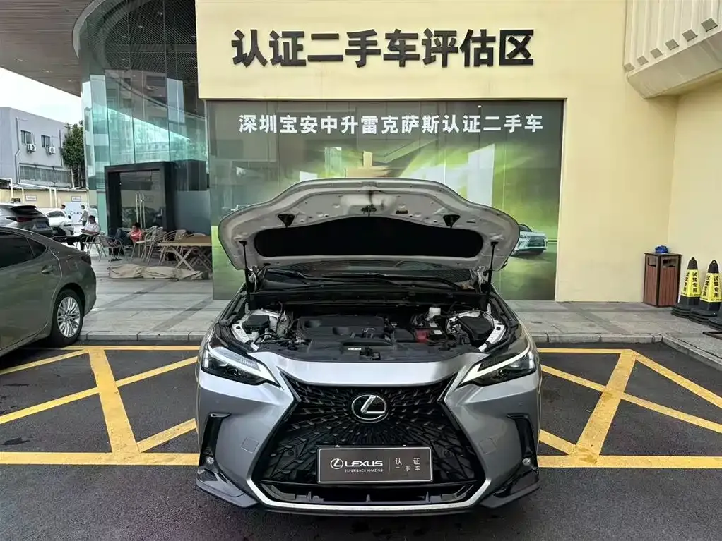Lexus NX 2022 из CN, фото 5