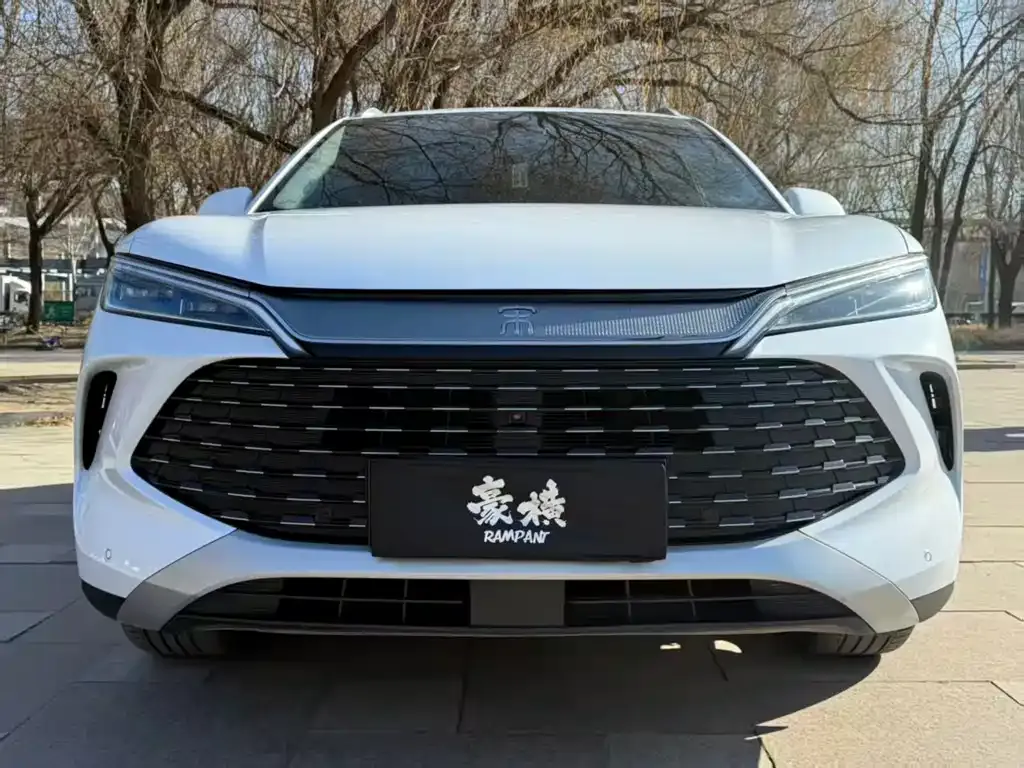BYD L DM-i — фото 2