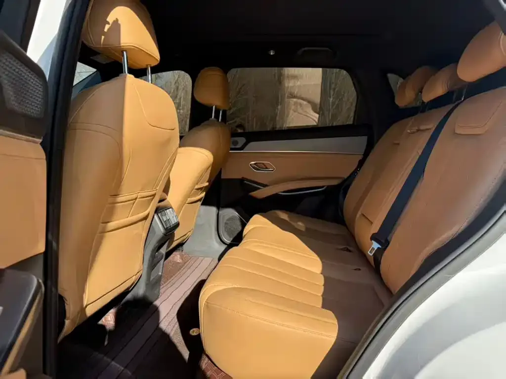 BYD L DM-i — фото 6