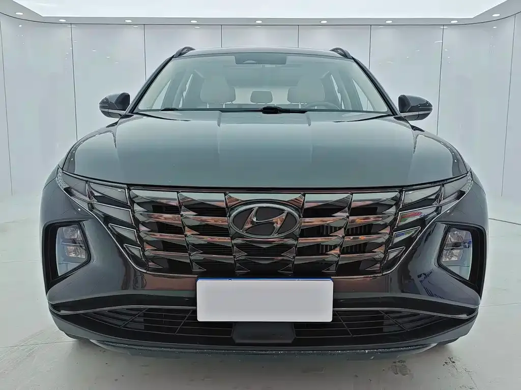 Hyundai Tucson 2021 из CN, фото 2