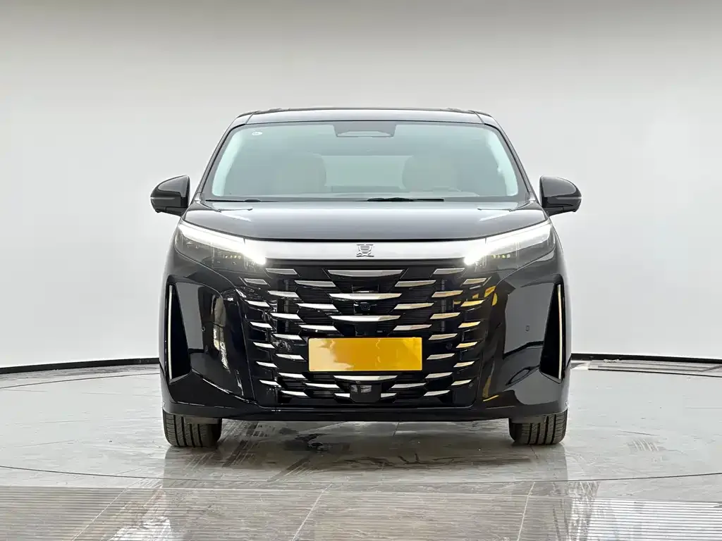 BYD Xia 2025 из CN, фото 2