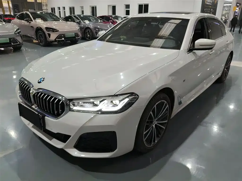 BMW 5 Series 2023 из CN, фото 1