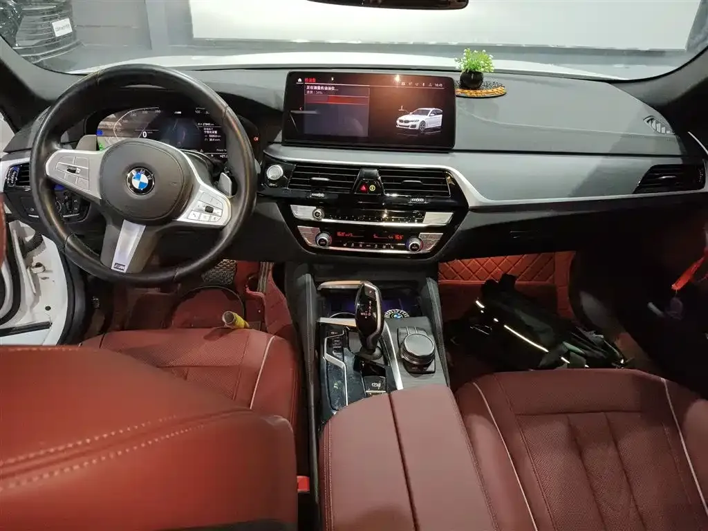 BMW 5 Series 2023 из CN, фото 10