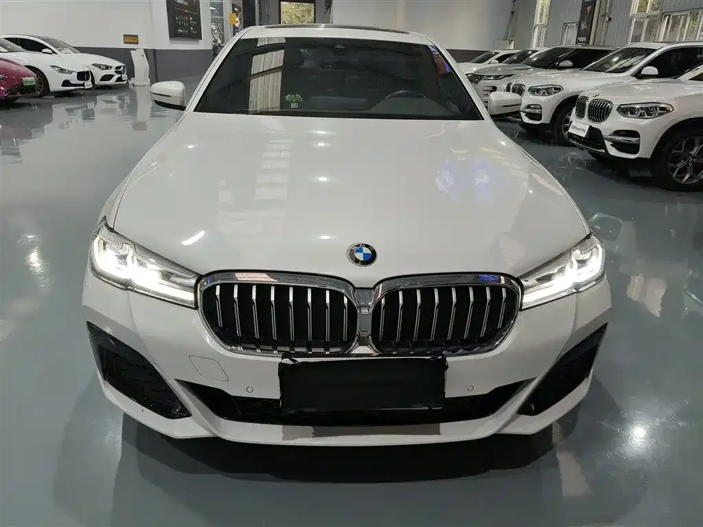 BMW 5 Series 2023 из CN, фото 3