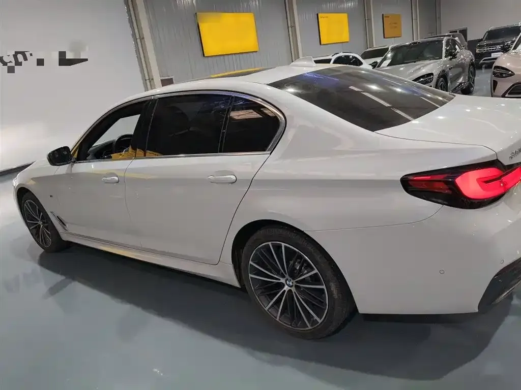 BMW 5 Series 2023 из CN, фото 5