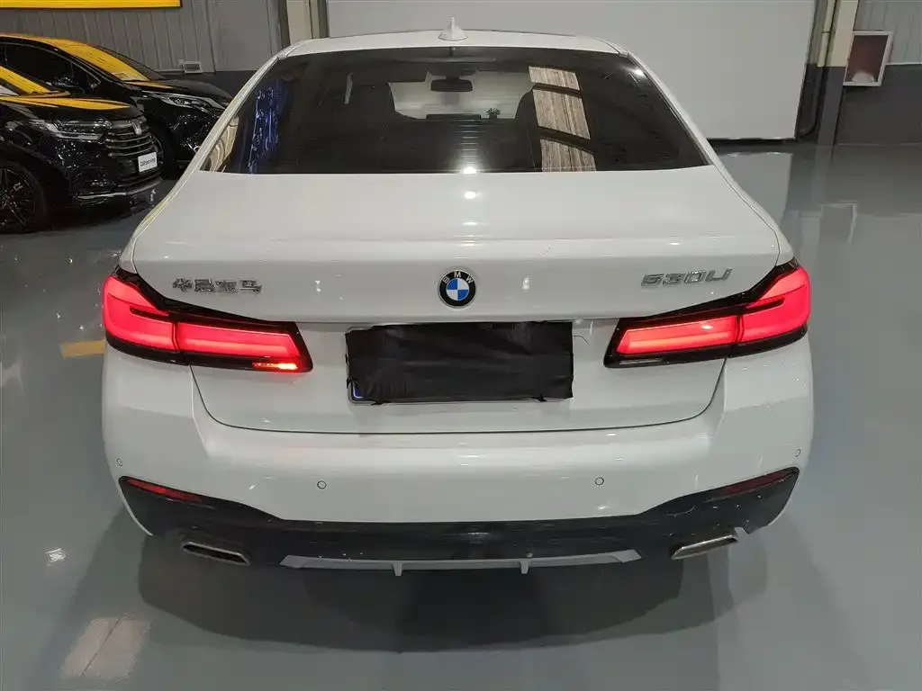 BMW 5 Series 2023 из CN, фото 6