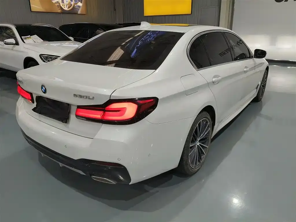 BMW 5 Series 2023 из CN, фото 7
