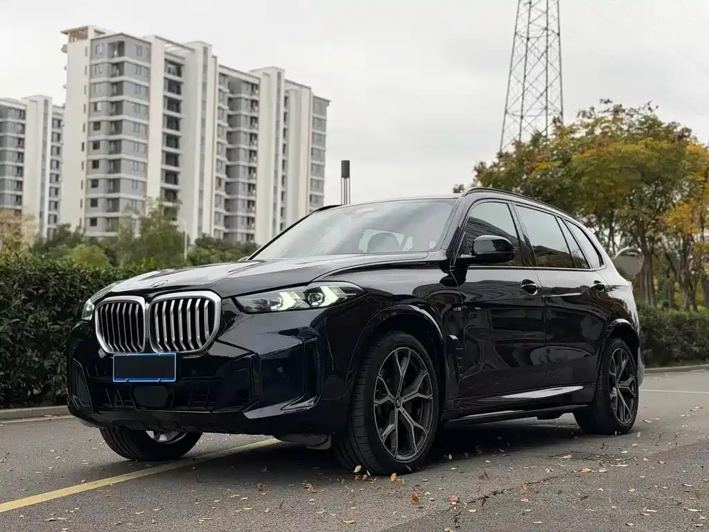BMW X5 2024 из CN, фото 1