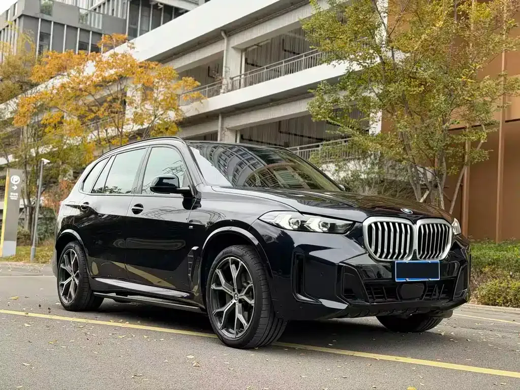 BMW X5 2024 из CN, фото 3