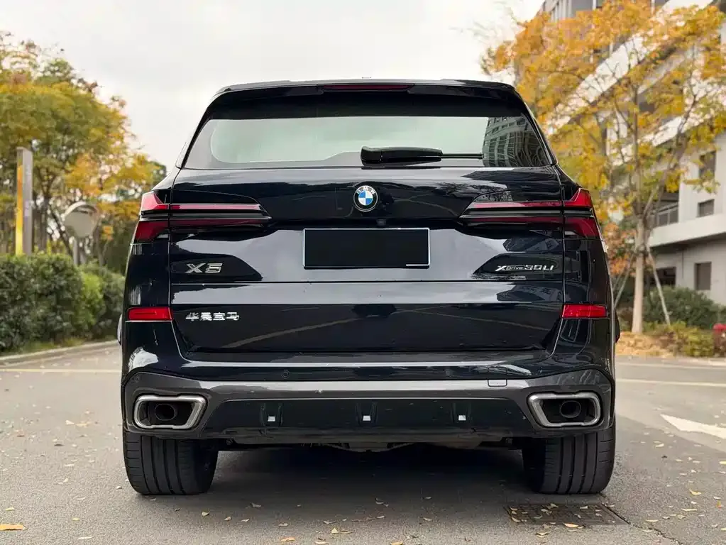 BMW X5 2024 из CN, фото 8