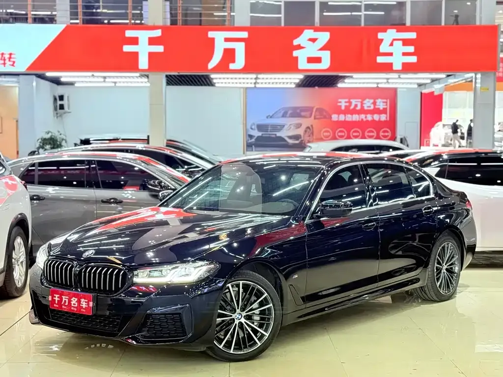 BMW 5 Series 2021 из CN, фото 2