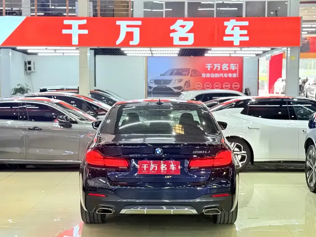 BMW 5 Series 2021 из CN, фото 4